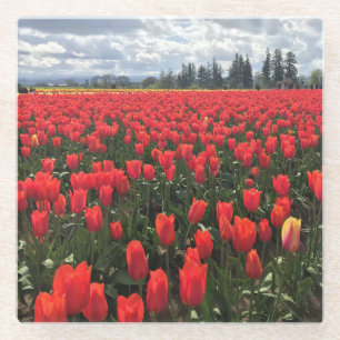Gebiet Ballerina Tulips, Oregon Glasuntersetzer