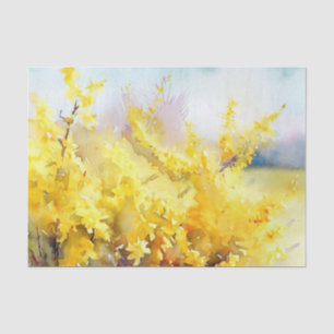 Gebiet Blume-Forsythia (A) Aquarellfarben Seidenpapier