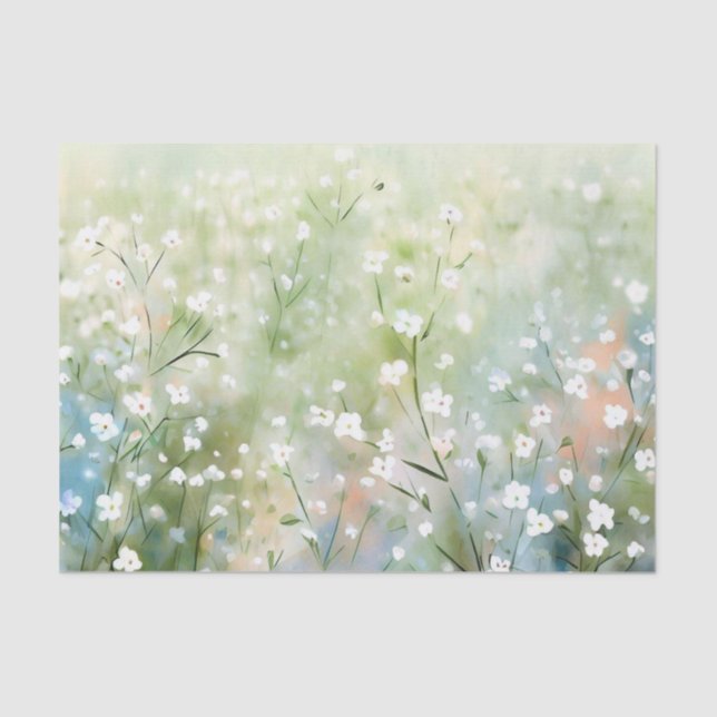 Gebiet der Blume-Gypsophila (A) Aquarell Seidenpapier (Vorderseite)