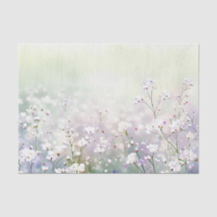 Gebiet der Blume - Gypsophila (D) Aquarell Seidenpapier