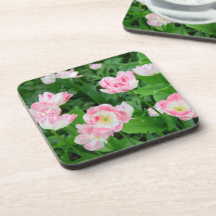 Gebiet der rosa Tulpen Getränkeuntersetzer