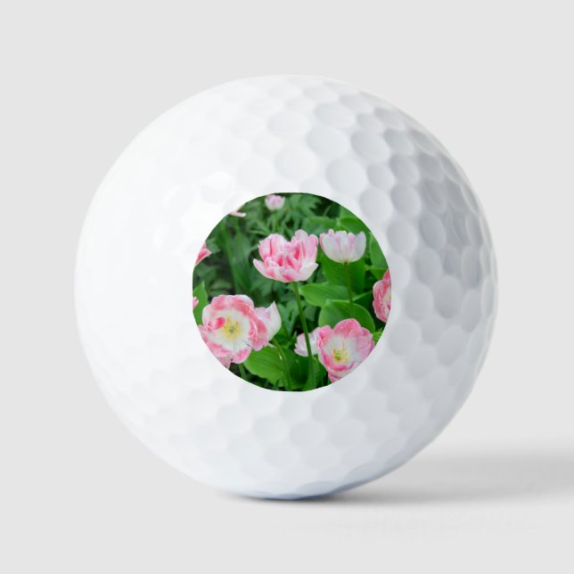 Gebiet der rosa Tulpen Golfball (Vorderseite)