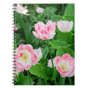 Gebiet der rosa Tulpen Notizblock