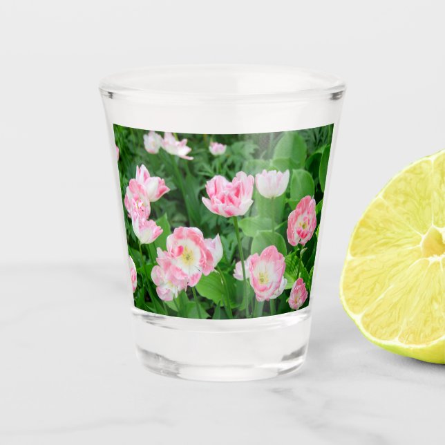 Gebiet der rosa Tulpen Schnapsglas (Vorderseite)