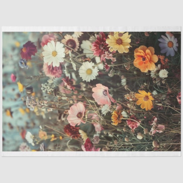 Gebiet der schönen Blume mit den Gänseblümchen Seidenpapier (Vorderseite)