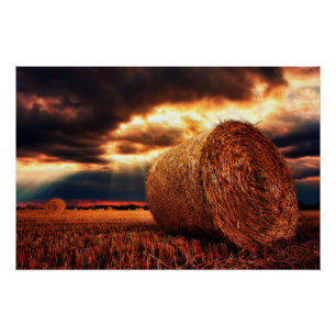 Gebiet von Hay Bales Poster