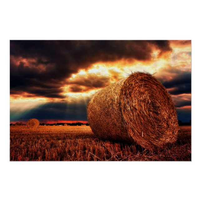 Gebiet von Hay Bales Poster (Vorderseite)