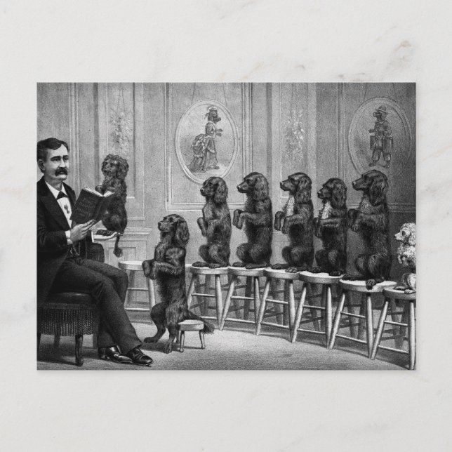 Gebildete Hunde Postkarte (Vorderseite)