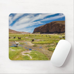 Gebirge   Bolivian Andes Mousepad