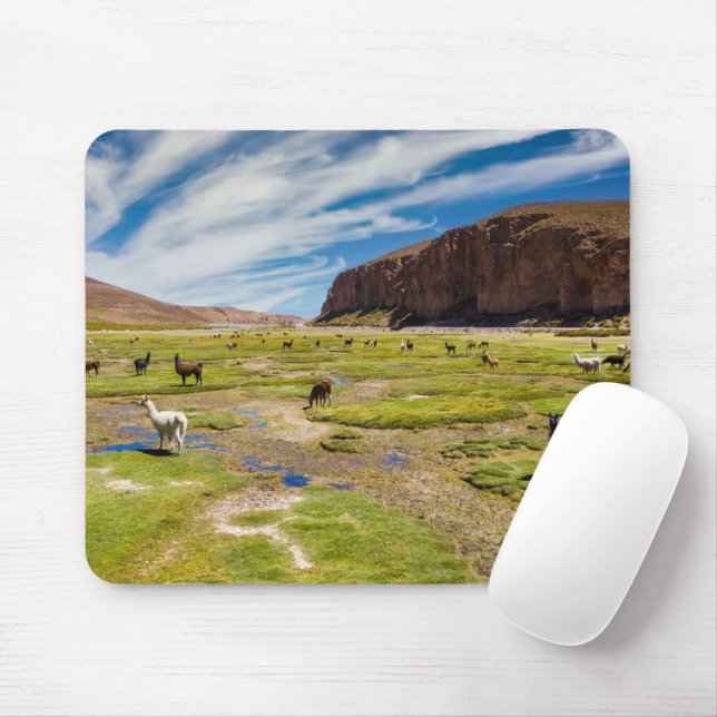 Gebirge | Bolivian Andes Mousepad (Mit Mouse)