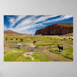 Gebirge Bolivian Andes Poster