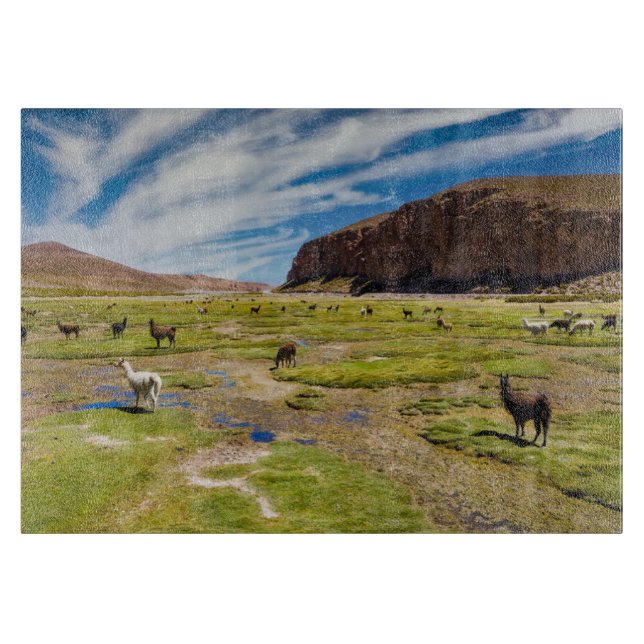 Gebirge | Bolivian Andes Schneidebrett (Vorderseite)