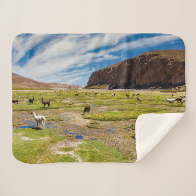 Gebirge | Bolivian Andes Sherpadecke (Vorderseite (Horizontal))