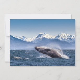 Gebirge   Breaching Whale Glacier Bay, Alaska Dankeskarte