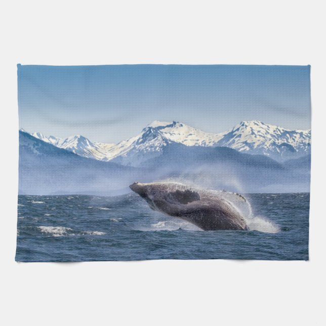 Gebirge | Breaching Whale Glacier Bay, Alaska Geschirrtuch (Horizontal)