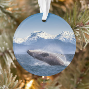 Gebirge   Breaching Whale Glacier Bay, Alaska Ornament