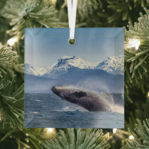 Gebirge   Breaching Whale Glacier Bay, Alaska Ornament Aus Glas
