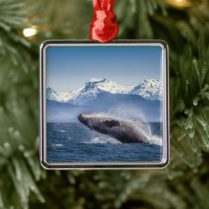 Gebirge   Breaching Whale Glacier Bay, Alaska Ornament Aus Metall