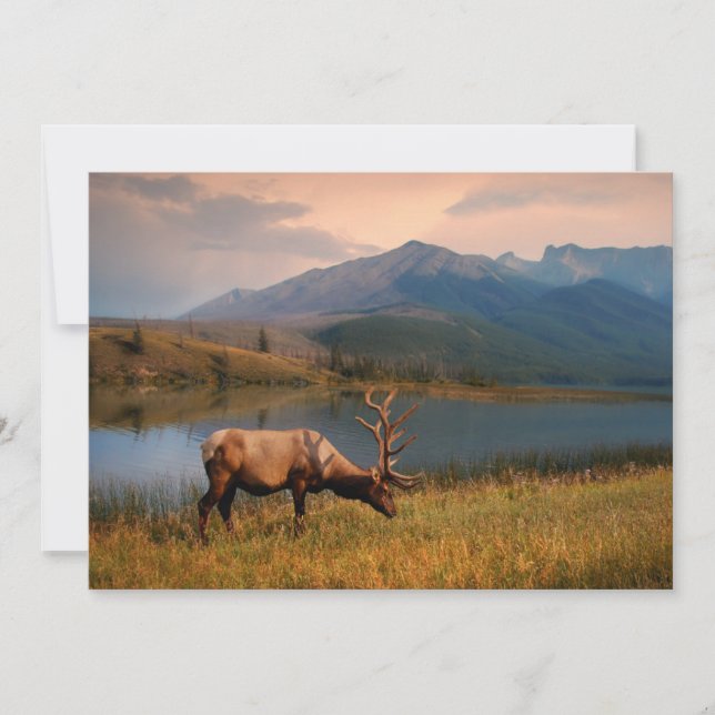 Gebirge | Jacques Mountain Range Alberta Kanada Dankeskarte (Vorderseite)