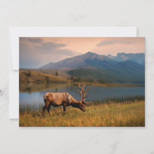 Gebirge   Jacques Mountain Range Alberta Kanada Dankeskarte