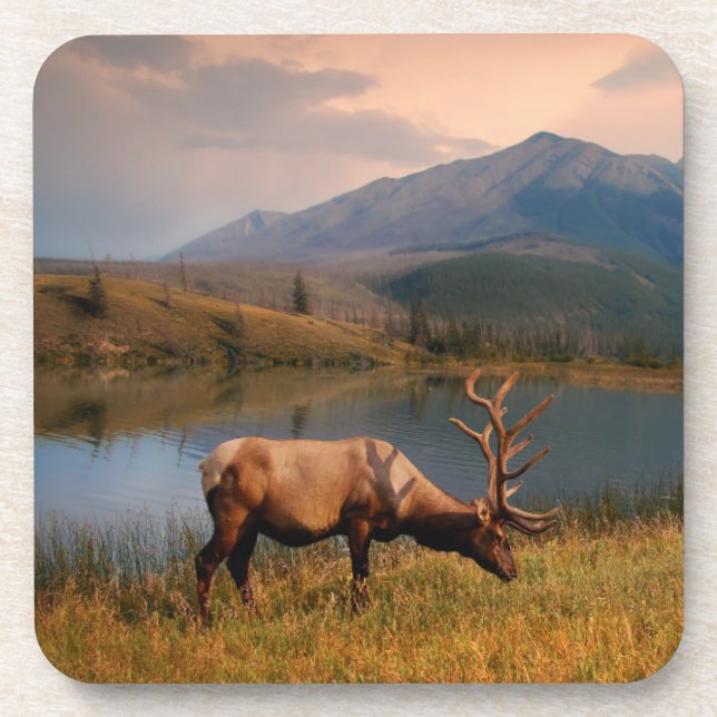 Gebirge | Jacques Mountain Range Alberta Kanada Getränkeuntersetzer (Vorderseite)