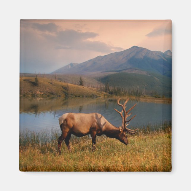 Gebirge | Jacques Mountain Range Alberta Kanada Magnet (Vorne)