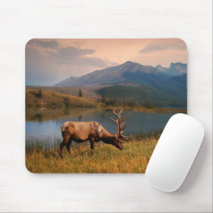 Gebirge   Jacques Mountain Range Alberta Kanada Mousepad