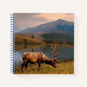 Gebirge   Jacques Mountain Range Alberta Kanada Notizbuch