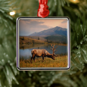 Gebirge   Jacques Mountain Range Alberta Kanada Ornament Aus Metall