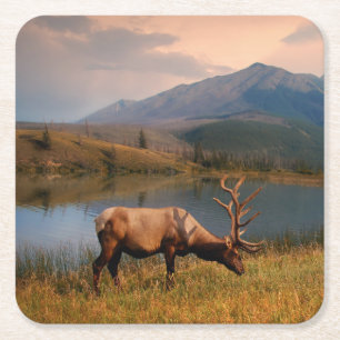 Gebirge Jacques Mountain Range Alberta Kanada Rechteckiger Pappuntersetzer