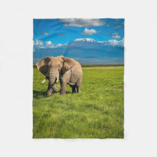 Gebirge   Kilimanjaro Tansania, Afrika Fleecedecke