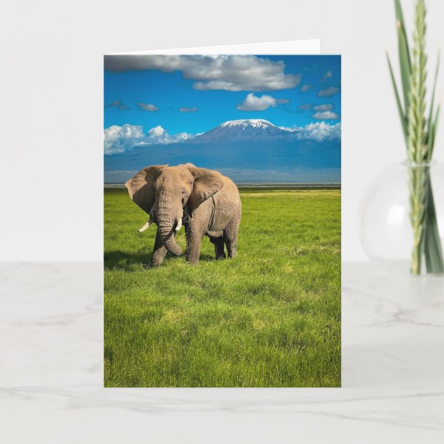 Gebirge | Kilimanjaro Tansania, Afrika Karte (Vorderseite)