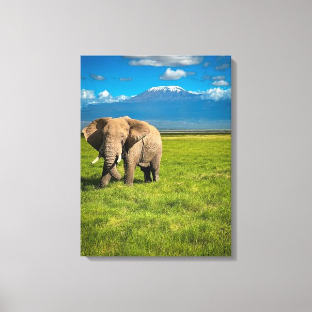 Gebirge | Kilimanjaro Tansania, Afrika Leinwanddruck (Vorderseite)