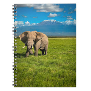 Gebirge   Kilimanjaro Tansania, Afrika Notizblock