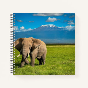 Gebirge Kilimanjaro Tansania, Afrika Notizbuch