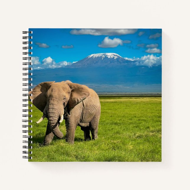 Gebirge | Kilimanjaro Tansania, Afrika Notizbuch (Vorderseite)