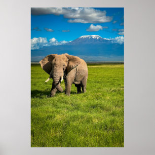 Gebirge   Kilimanjaro Tansania, Afrika Poster