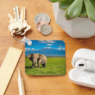 Gebirge   Kilimanjaro Tansania, Afrika Schlüsselanhänger