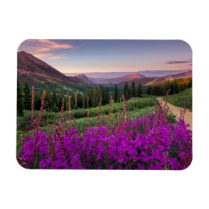 Gebirge   Rocky Mountains, Colorado Magnet