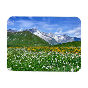 Gebirge   Schweizer Alpenfrühling Magnet