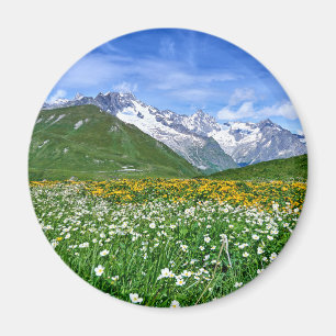 Gebirge   Schweizer Alpenfrühling Magnet