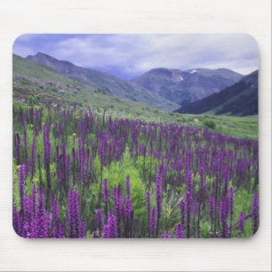 Gebirge und Wildblumen auf Almwiesen, 2 Mousepad
