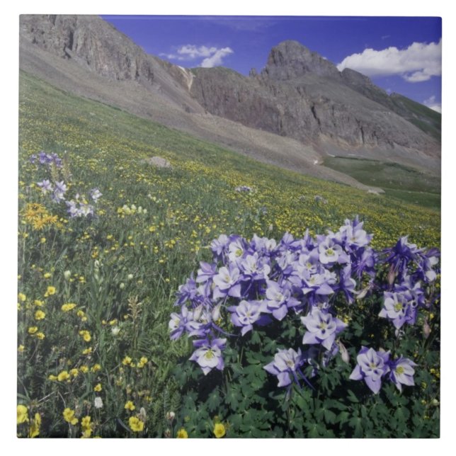 Gebirge und Wildblumen auf Almwiesen, blau Fliese (Vorderseite)