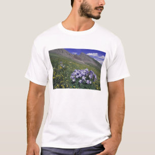 Gebirge und Wildblumen auf Almwiesen, blau T-Shirt