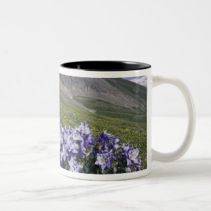 Gebirge und Wildblumen auf Almwiesen, blau Zweifarbige Tasse