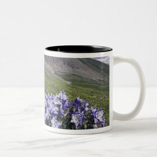 Gebirge und Wildblumen auf Almwiesen, blau Zweifarbige Tasse (Rechts)