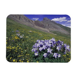Gebirge und Wildblumen auf der Alm, blau Magnet