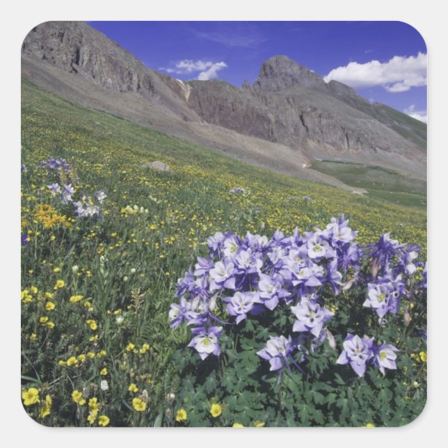 Gebirge und Wildblumen auf der Alm, blau Quadratischer Aufkleber (Vorderseite)