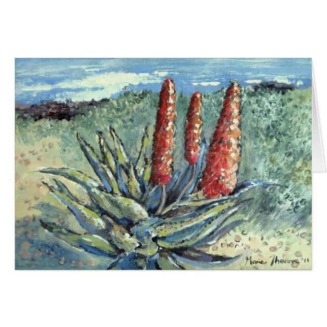 Gebirgsaloe (Vorderseite (Horizontal))