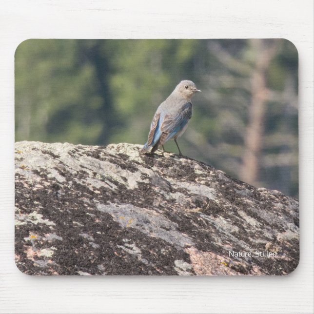 Gebirgsdrossel auf Granit Mousepad (Vorne)